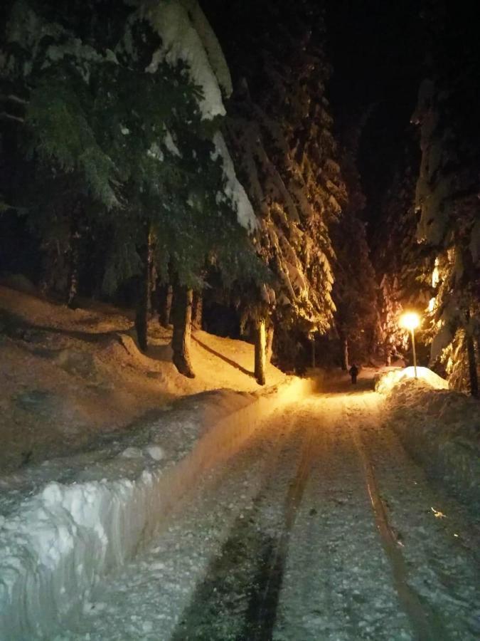 Elitza Villa بامبوروفو المظهر الخارجي الصورة