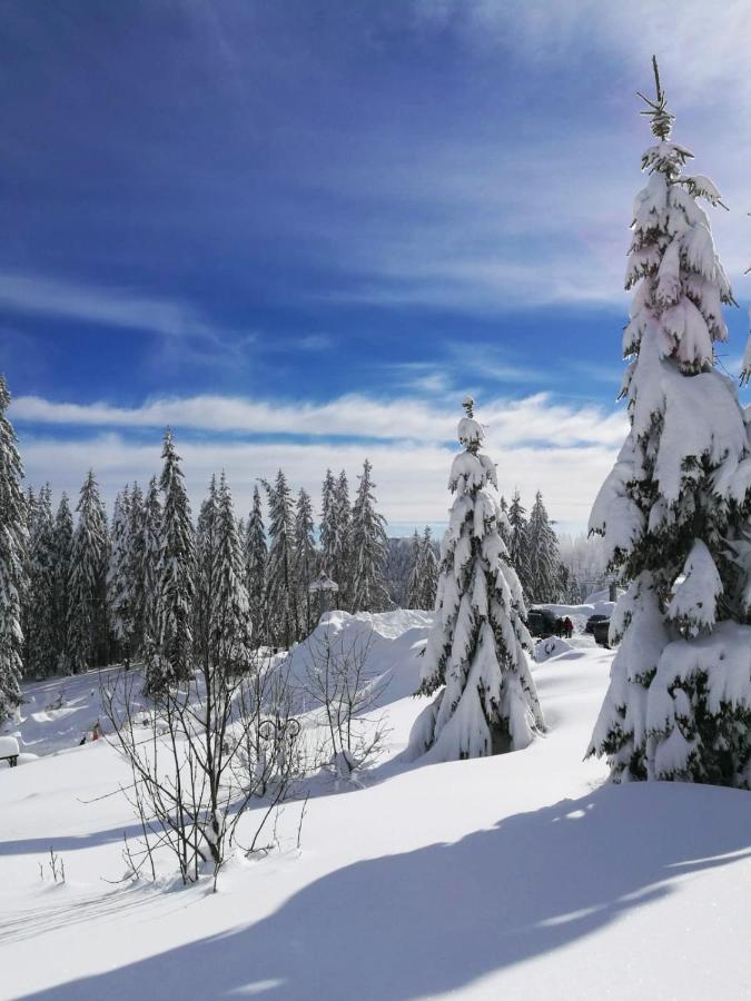 Elitza Villa بامبوروفو المظهر الخارجي الصورة